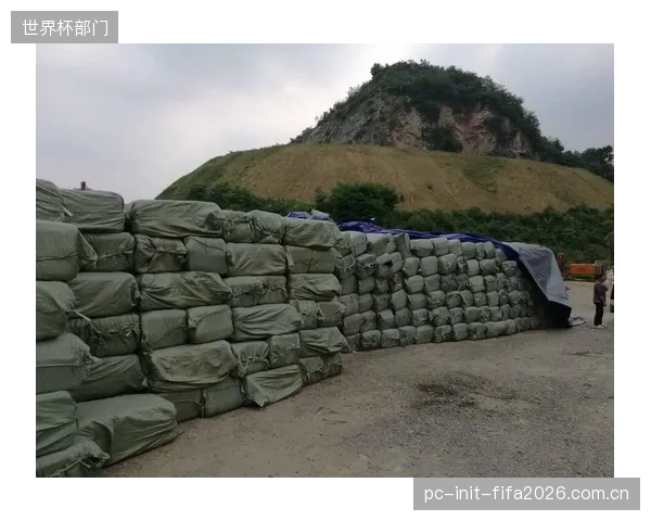 翼卫人选储备充足，索尔巴肯推行三中卫战术具备边路攻防基础。